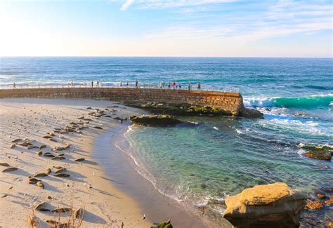 jollq pr|30 Best Things To Do In La Jolla Now: A Resident's Fun .